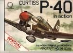 Curtiss P-40 in Action