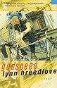 Godspeed: A Novel