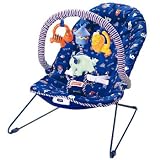 Fisher-Price Zoo Pals Bouncer