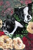Sleeping With Angels: A Veterinarian's Sacred Bond of Animal Companionship