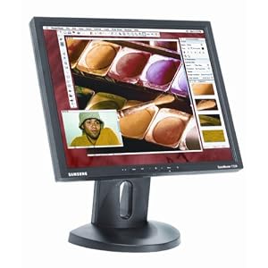 Samsung SyncMaster 172N 17" LCD Monitor (Black)