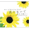 負けないで・揺れる想い~坂井泉水 追悼オルゴール集