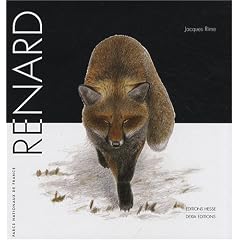 Renard