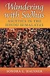 Wandering with Sadhus: Ascetics in the Hindu Himalayas (Contemporary Indian Studies)