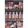 Life in the Ancient Near East, 3100-332 B.C.E.