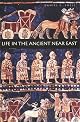 Life in the Ancient Near East, 3100-332 B.C.E.