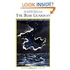 The Bear Guardian: Northwoods Tales and Meditations