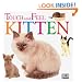 Touch and Feel: Kitten (Touch and Feel)