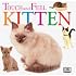 Touch and Feel: Kitten (Touch and Feel)