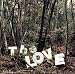 The LOVE - 