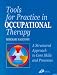 Tools for Practice in Occupational Therapy: A Structured Approach to Core Skills and Processes