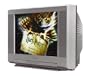 SONY KV-20FS100 Trinitron(R) Color TV