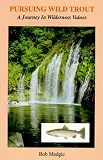 Pursuing Wild Trout: A Journey in Wilderness Values