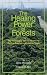 Healing Power of Forests: The Philosophy Behind Restoring Earth's Balance with Native Trees