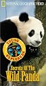 Secrets of the Wild Panda - National Geographic Young Explorers [VHS]