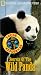 VHS : Secrets of the Wild Panda - National Geographic Young Explorers