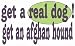 get a real dog! Get an afghan hound Hooded Sweatshirt (Hoodie) (Various Colors Available)