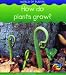 How Do Plants Grow?
