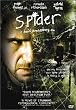 Spider [Import]