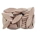Freud 950-20 #20 Splines / Biscuits (50 Pack)