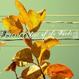 Out of the Woods (Dig)
