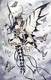 Symphony In Black and White Nene Thomas 8 1/2 X 11 Faery Fairy