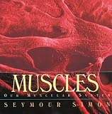 Muscles: Our Muscular System