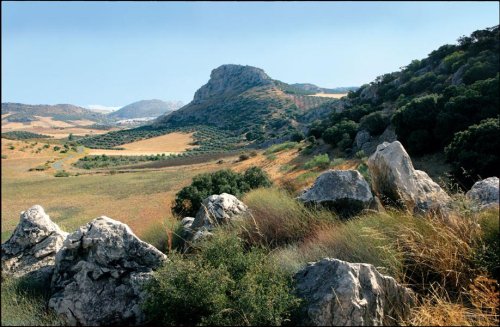 Cover image : Andalucia 2009.