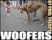 Woofers