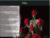 2006 Intimate Romantic Relationship Wall Calendar