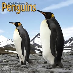 Penguins 2009 Wall Calendar