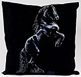 Steigender Friese Kissen - Christina Boetzel - Pony Kissen Reitsport Pferde Pferd Reiten Geschenk Geburtstag T-Shirt