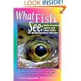 What Fish See: Understanding Optics and Color Shifts for Designing Lures and Flies