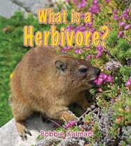 What Is a Herbivore? (Big Science Ideas)