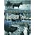 Cherished Tales of the Countryside