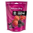 Shake & Go Smoothie Berry By Sequel Vega - 10.6 Ounces (300 grams)