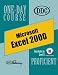 Excel 2000 Proficient One Day Course