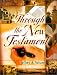 Book Through the New Testament