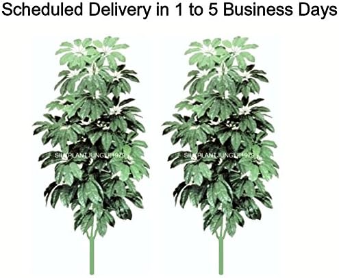SPJPLANTS Box of Two Silk Artificial 6 foot Large Leaf Schefflera Plant Trees each with 342 leaves