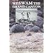 We Swam the Grand Canyon: The True Story of a Cheap Vacation that Got a Little Out of Hand