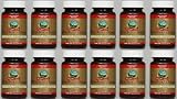 NERVOUS FATIGUE FORMULA, CHINESE TCM CONCENTRATE, (Pack of 12) 30 Caps each 