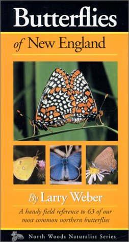 butterflies of new england north woods naturalist guides
