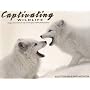 Captivating Wildlife