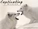 Captivating Wildlife