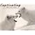 Captivating Wildlife