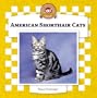 American Shorthair Cats (Cats Set IV)