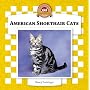 American Shorthair Cats (Cats Set IV)