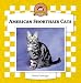 american shorthair - American Shorthair Cats (Cats Set IV)