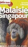 Le Petit Futé Malaisie - Singapour : Escapades à Brunei