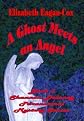 A Ghost Meets an Angel: Book 3 Shannon Delaney Paranormal Mystery Series